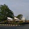 andrizal.koni