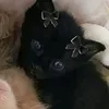 wtbhhyb_t