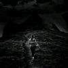 rodinasherif4726