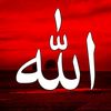 user8422276711412