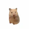 tongtaifi.5