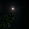 fitrinur.aini81