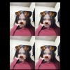 winda.julianti4