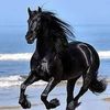 abdulnaser.ahmed7
