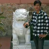 phan.mn586
