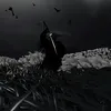 adam_yes1