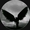 miippv1