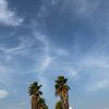 loarahmad3