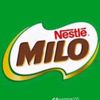 himilo_indo