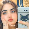 husnain.officiall