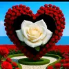 ayob98971gmail.co