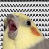 aaaaaaaaaaaaaaaa7116