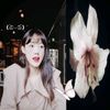 shibal_426
