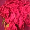 user1801637283287