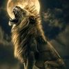 tariq.daved