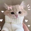 likeyou_k