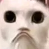 _hvhc_heh_