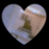 sahar.elsaed8