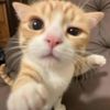 yourleftfingernail6147