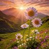asma.abd459