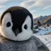 nonchalantskibidiwilly