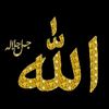 user20166990615856