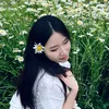 bonniecelt6