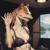 meowarcane705