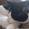 floyd_241