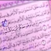 user9508116120953