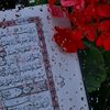 emanabdelhamied60