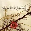 user1670282901829