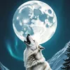 wolfworld281