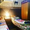 kamel.anis83