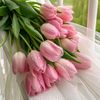 ..liliia2