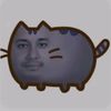 el.gato.sanorson