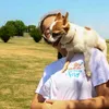 jennydogtrainer