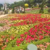 hong.suong.huynh68