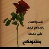medely175