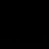 piiii488