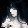 ylxnz_