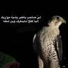٫هـقـاوي🇶🇦١