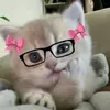 joyceanntanael2