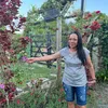 rosana.luna355