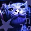 offical_hachiware_tiktok