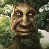 charlesthelaymo