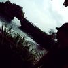 wangsuming4