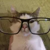 xvveuvnn