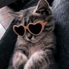 hulyaww2