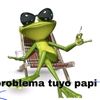 danifloow_de_temu